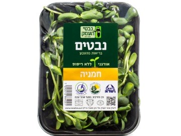 נבטי חמניה 