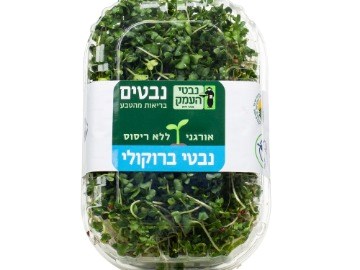 נבטי ברוקולי