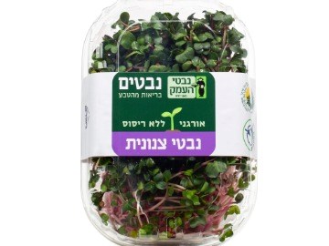 נבטי צנונית