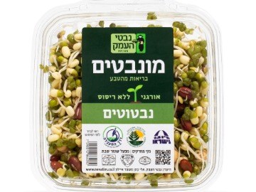 נבטוטים