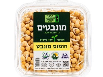 חומוס מונבט