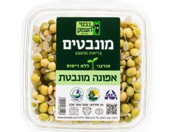 אפונה מונבטת