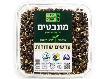 עדשים שחורות