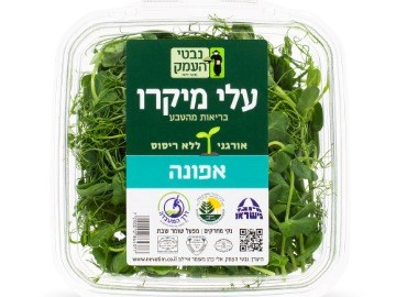  נבטי אפונה