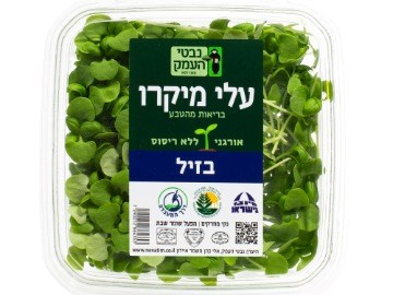 מיקרו עלים צעירים - בזיל