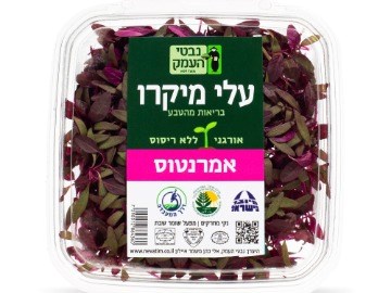 מיקרו עלים צעירים - אמרנטוס