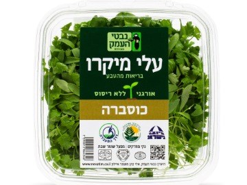 מיקרו עלים צעירים - כוסברה