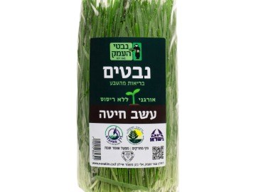 עשב חיטה