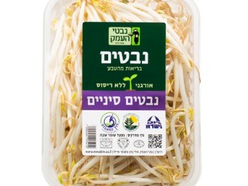 נבטים סיניים