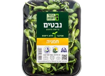 נבטי חמניה 