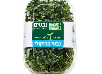 נבטי ברוקולי