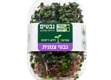 נבטי צנונית