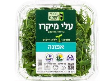  נבטי אפונה