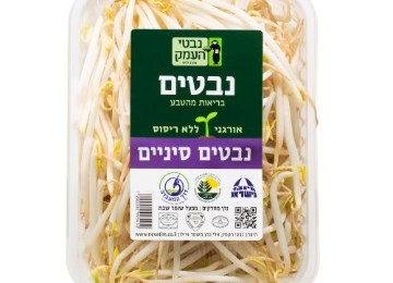 נבטים סיניים